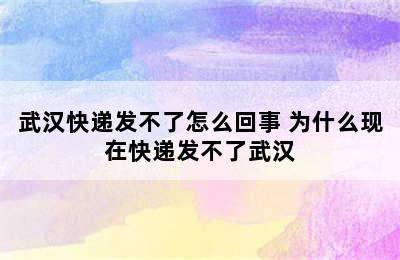 武汉快递发不了怎么回事 为什么现在快递发不了武汉